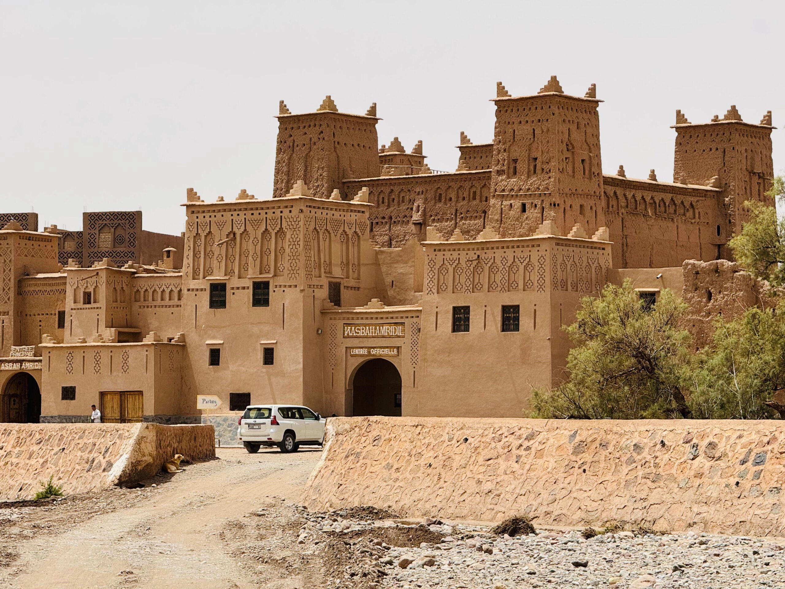 IMG-20250610-WA0009-scaled