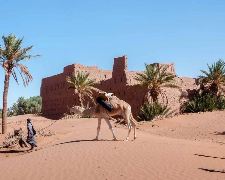 Discover Mhamid Elghizlane on a 1-Day Excursion from Zagora