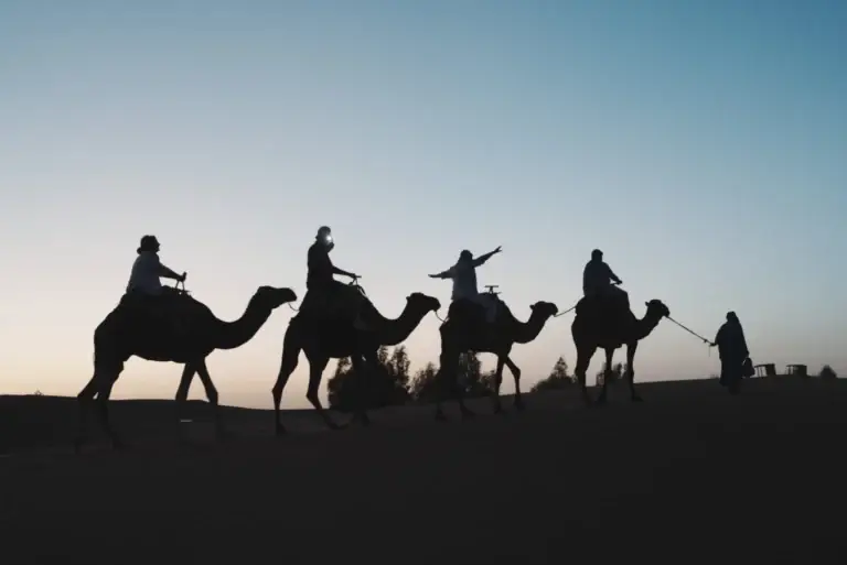 Camel Ride Through the Merzouga Dunes: An Unforgettable Experience